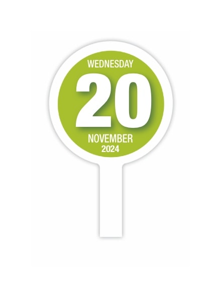 November 24