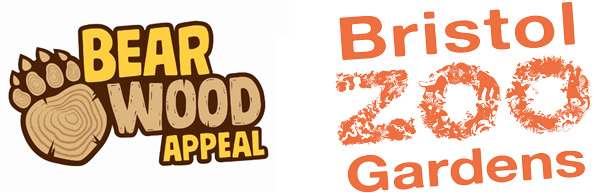Bristol Zoo Bear Wood Appeal