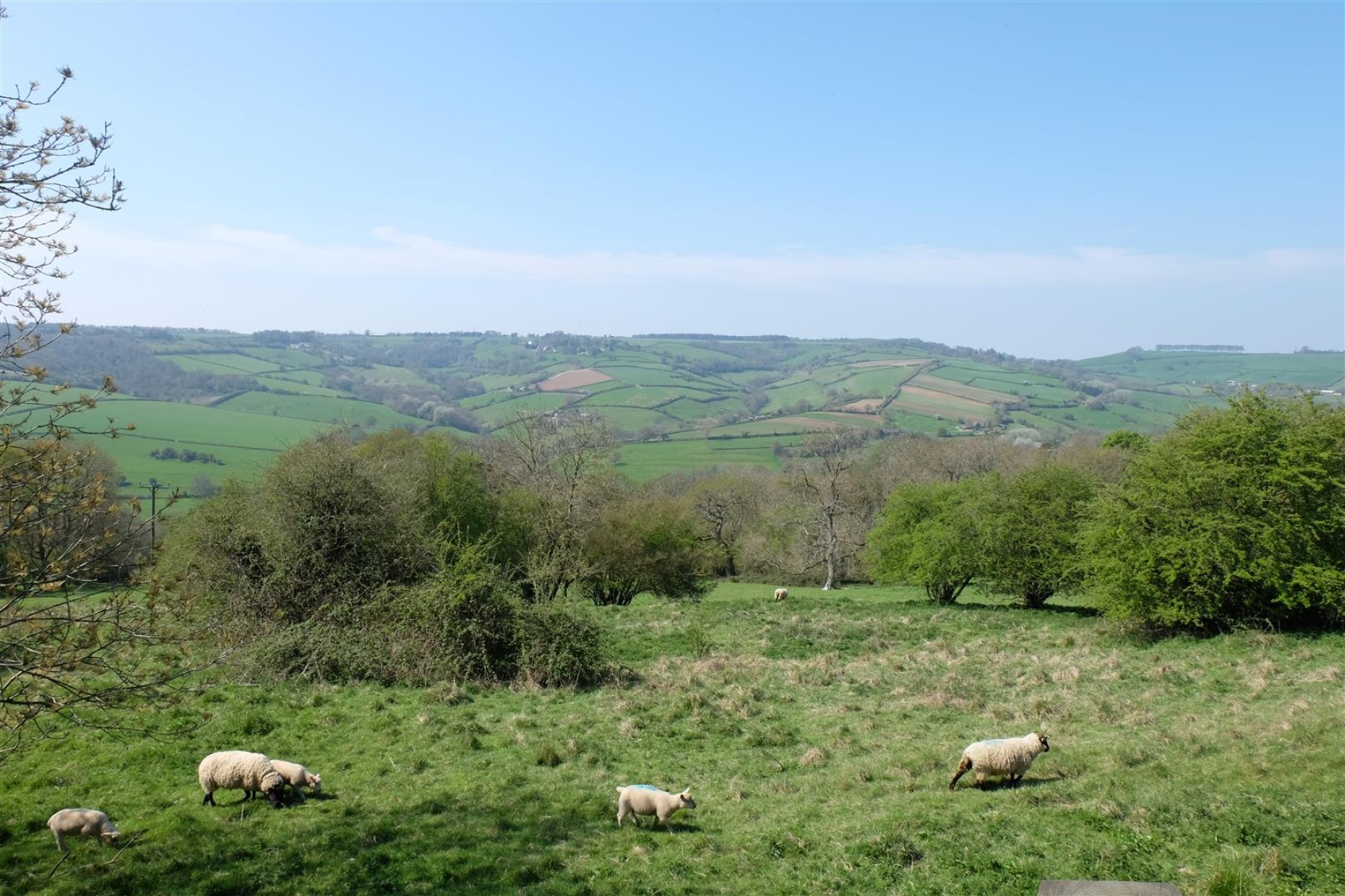 Images for Gloucester Road, Upper Swainswick, Bath