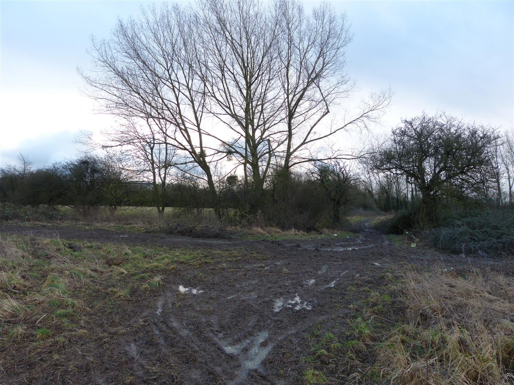 Images for Parcel of Land Adjacent to A403 Severn Road