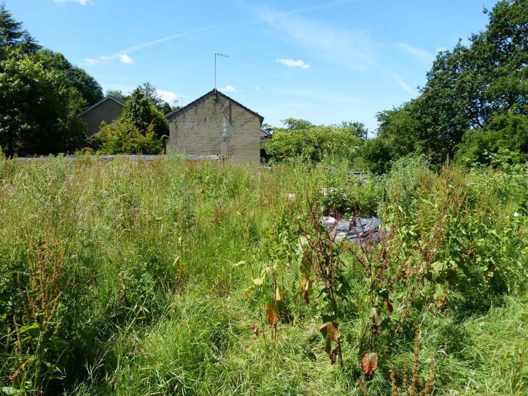 Images for Dubbers Lane, Fishponds