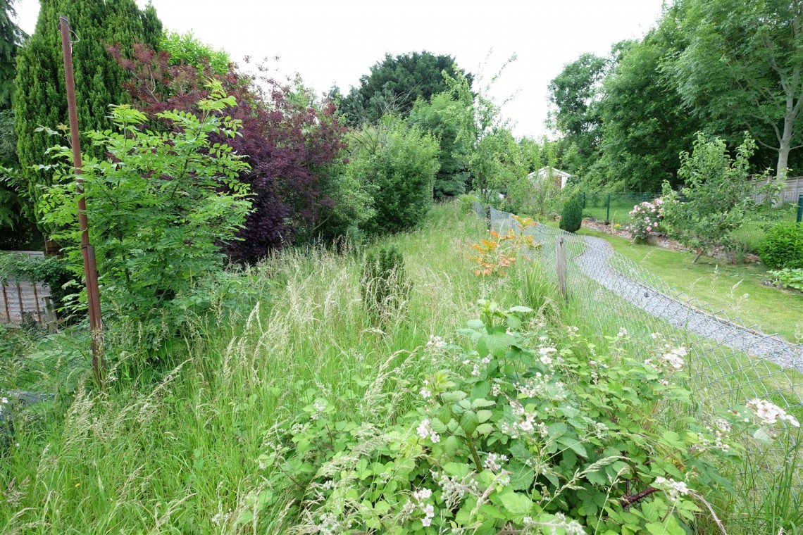 Images for *** SOLD @ AUCTION ***