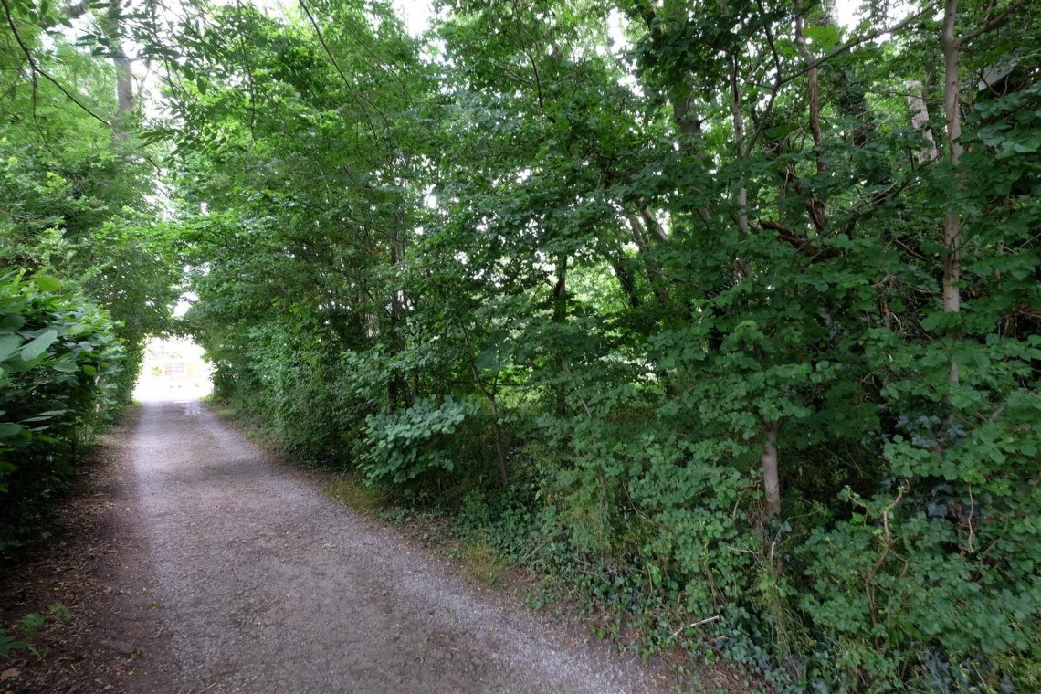 Images for 0.5 ACRES OF WOODLAND - NAILSEA