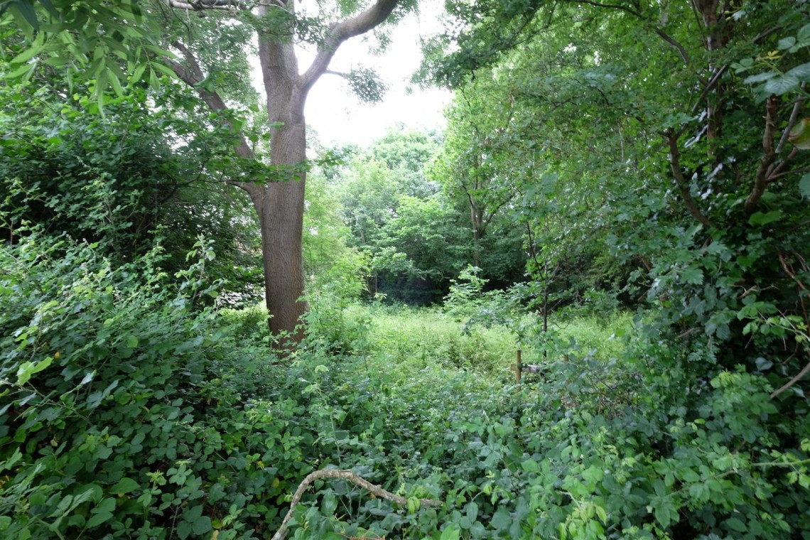 Images for 0.5 ACRES OF WOODLAND - NAILSEA