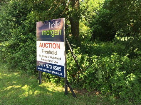View Full Details for 0.5 ACRES OF WOODLAND - NAILSEA