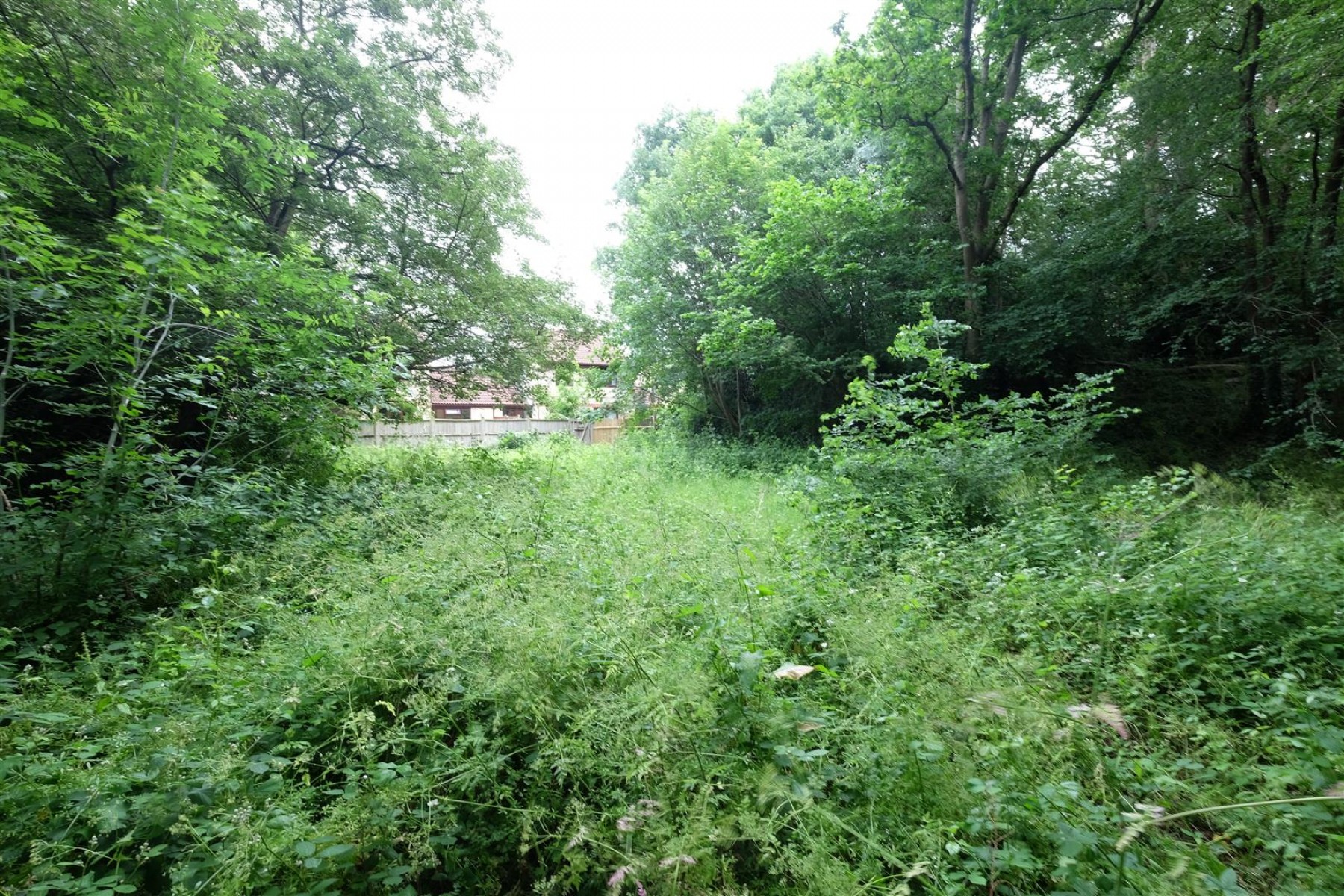 Images for 0.5 ACRES OF WOODLAND - NAILSEA