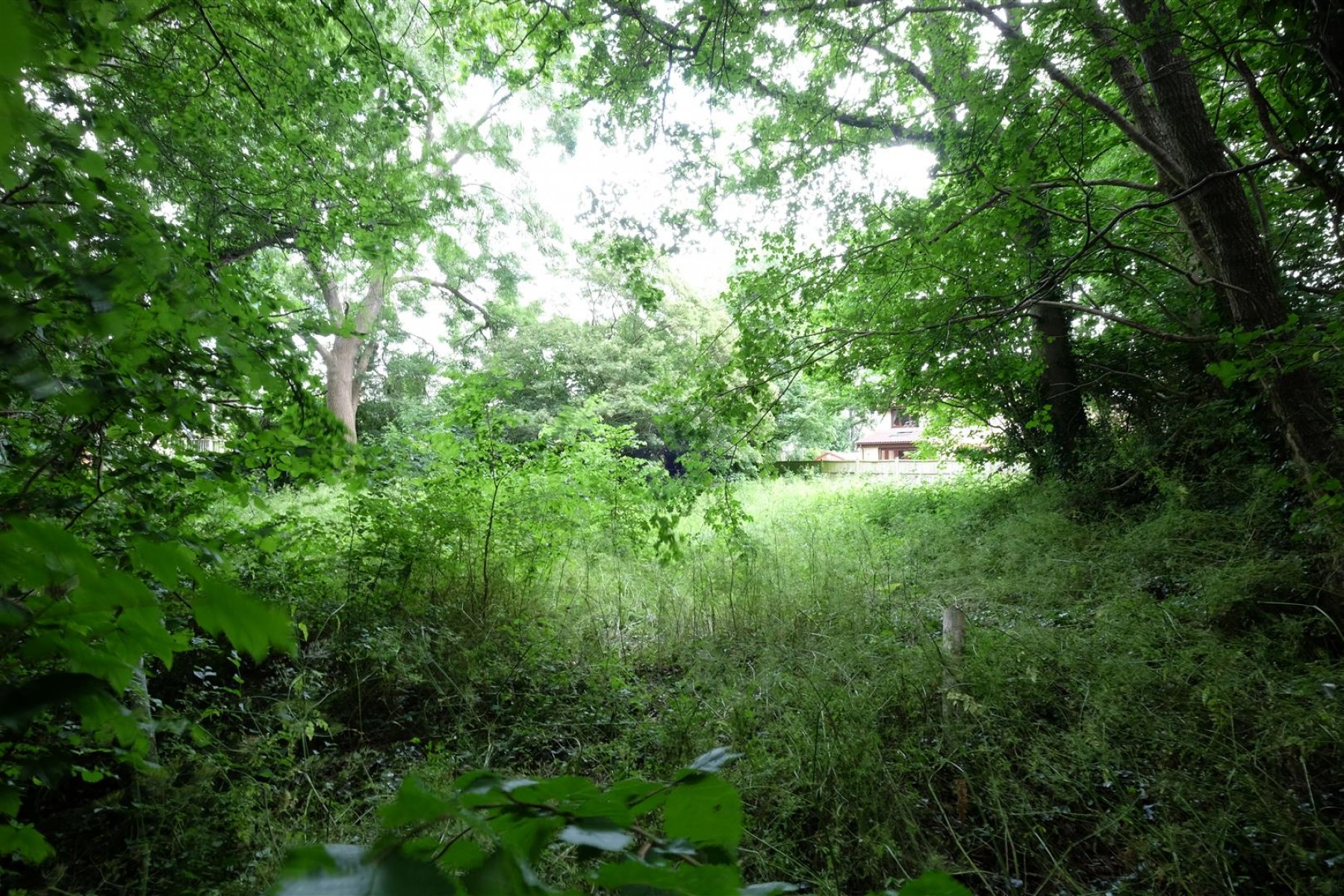 Images for 0.5 ACRES OF WOODLAND - NAILSEA
