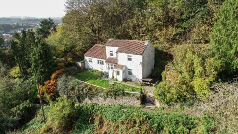 View Full Details for SECRET WOODLAND COTTAGE