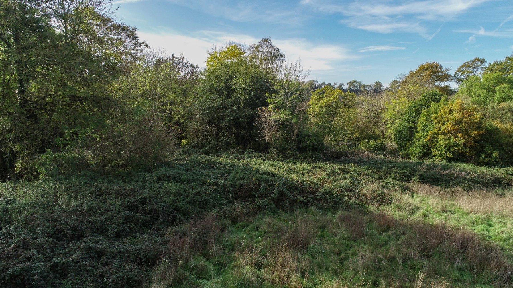 Images for 4.7 ACRES - SNEYD PARK