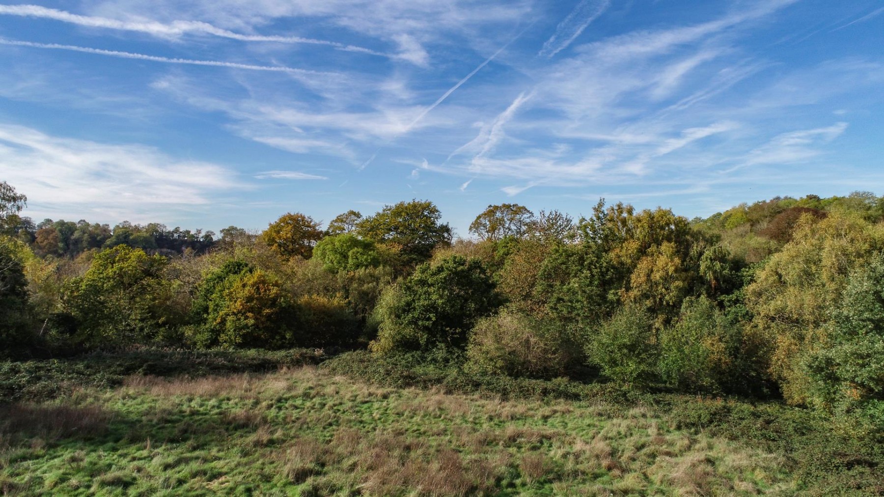 Images for 4.7 ACRES - SNEYD PARK