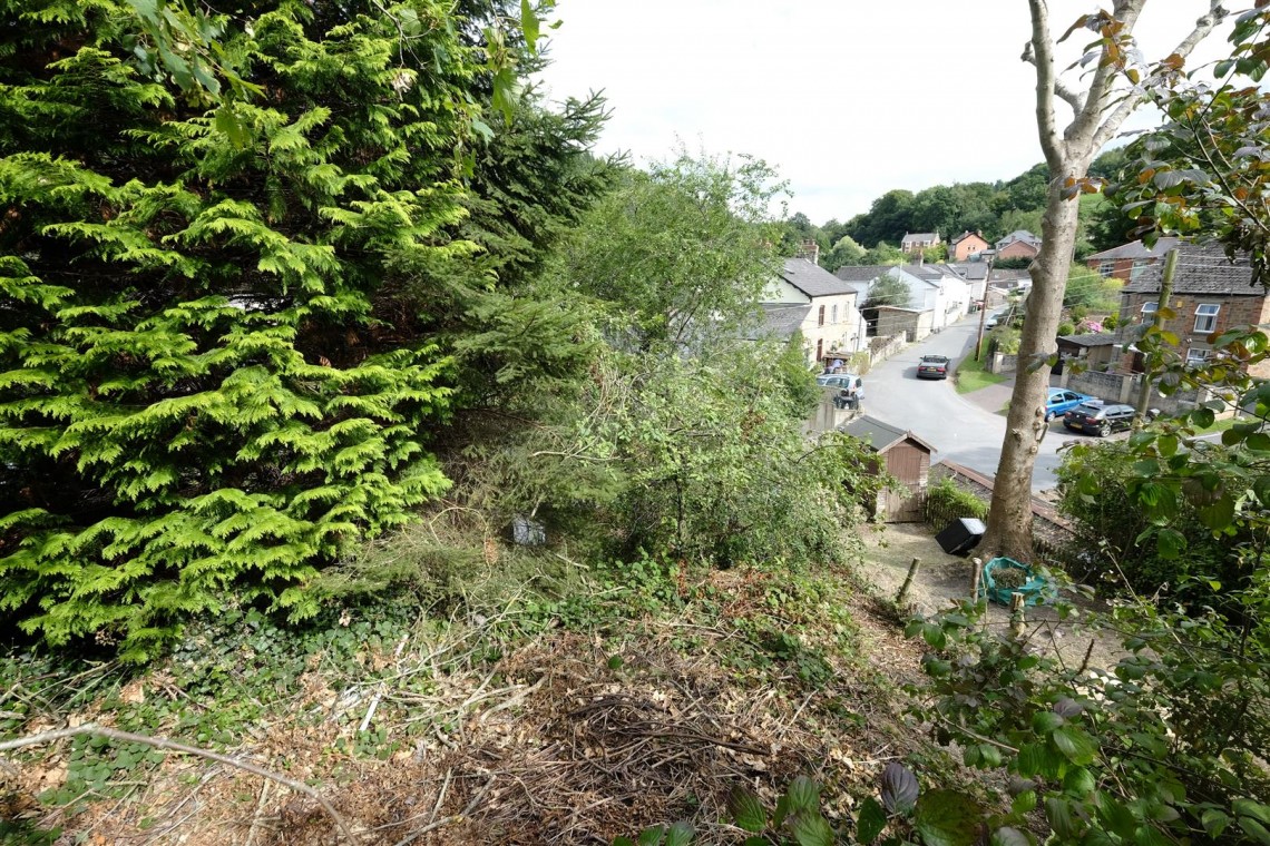 Images for POTENTIAL PLOT - LYDBROOK