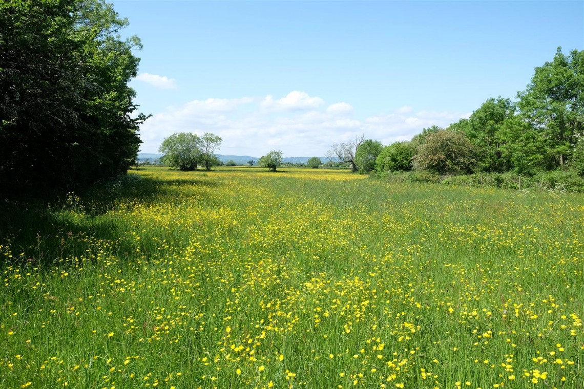 Images for 5 ACRE PADDOCK / WOODLAND - LITTLETON ON SEVERN