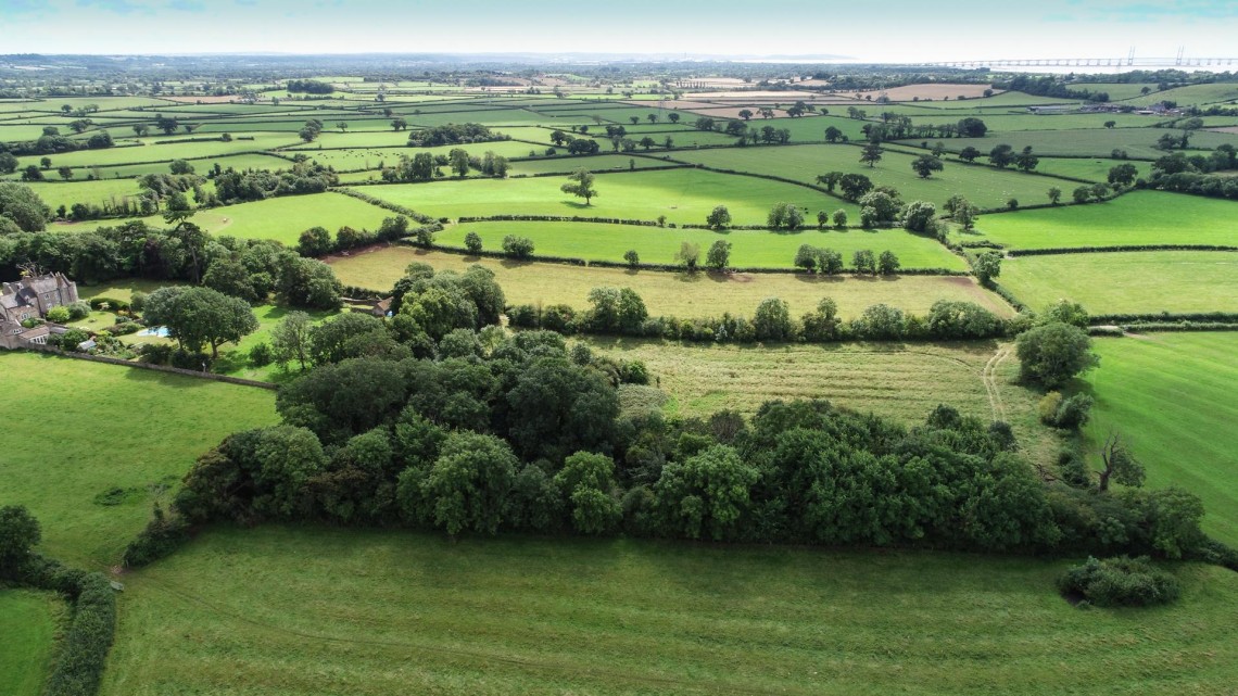 Images for 5 ACRE PADDOCK / WOODLAND - LITTLETON ON SEVERN