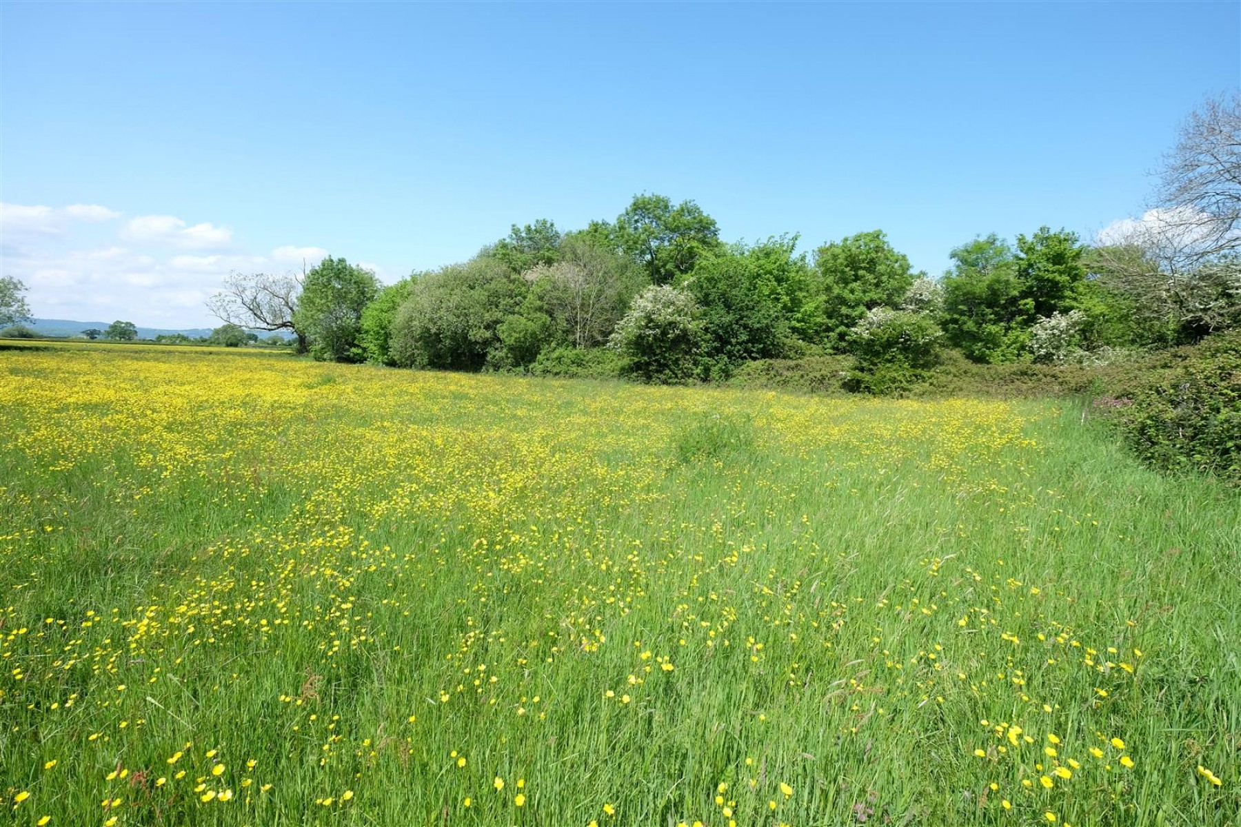 Images for 5 ACRE PADDOCK / WOODLAND - LITTLETON ON SEVERN