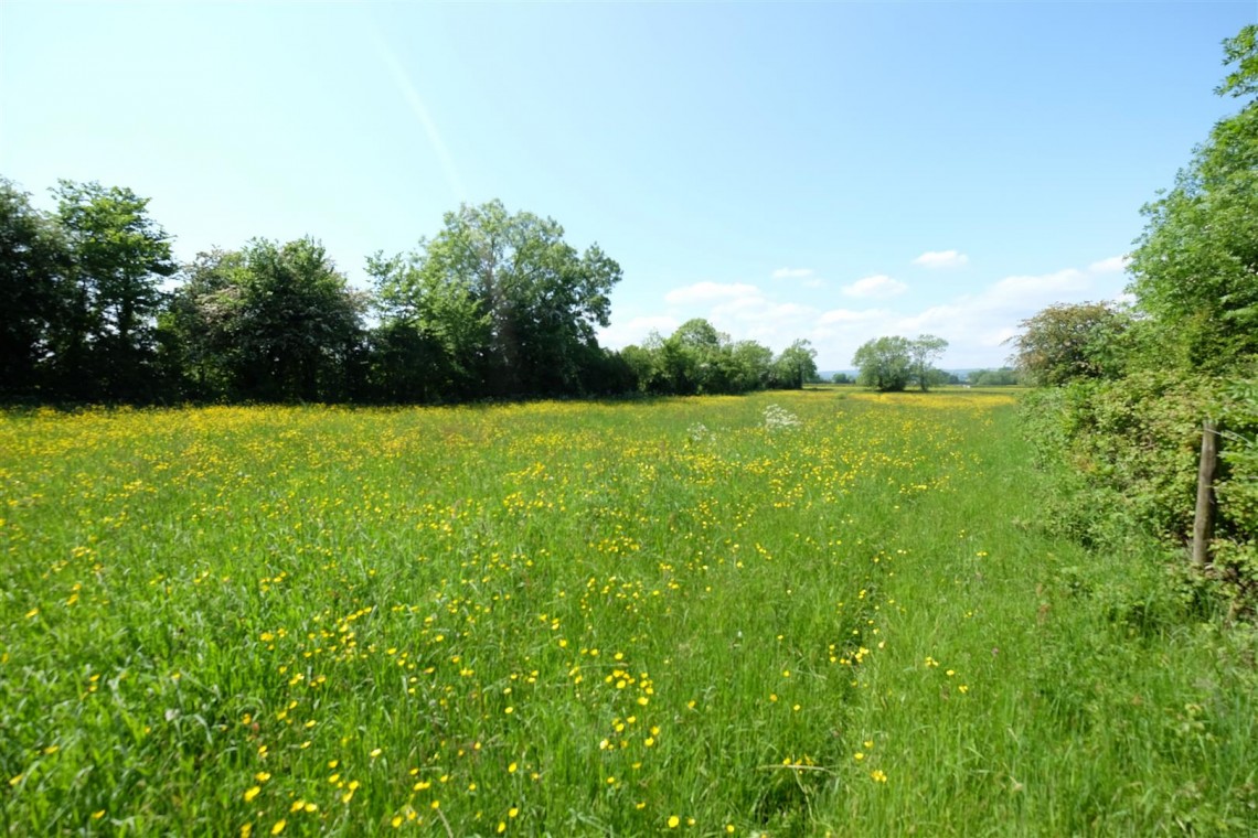 Images for 5 ACRE PADDOCK / WOODLAND - LITTLETON ON SEVERN