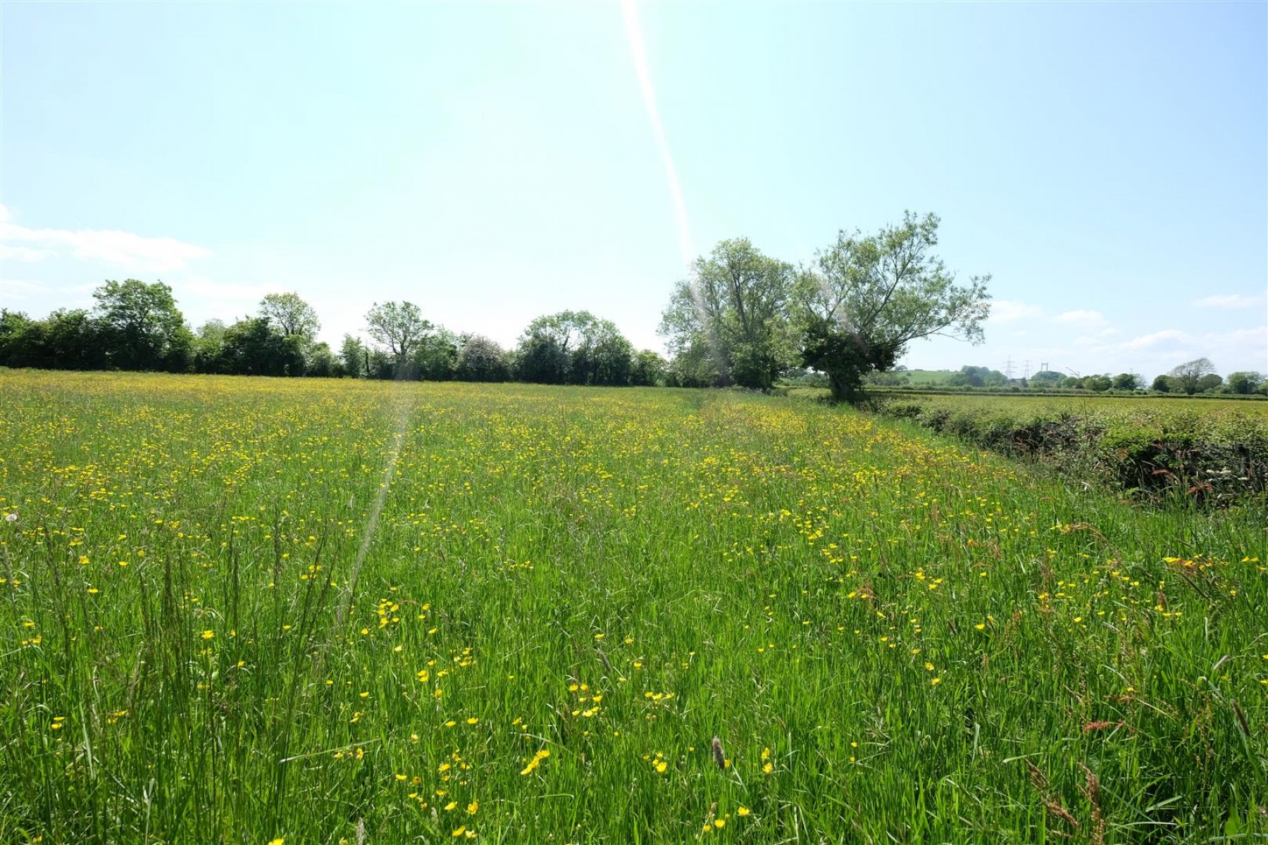 Images for 5 ACRE PADDOCK / WOODLAND - LITTLETON ON SEVERN