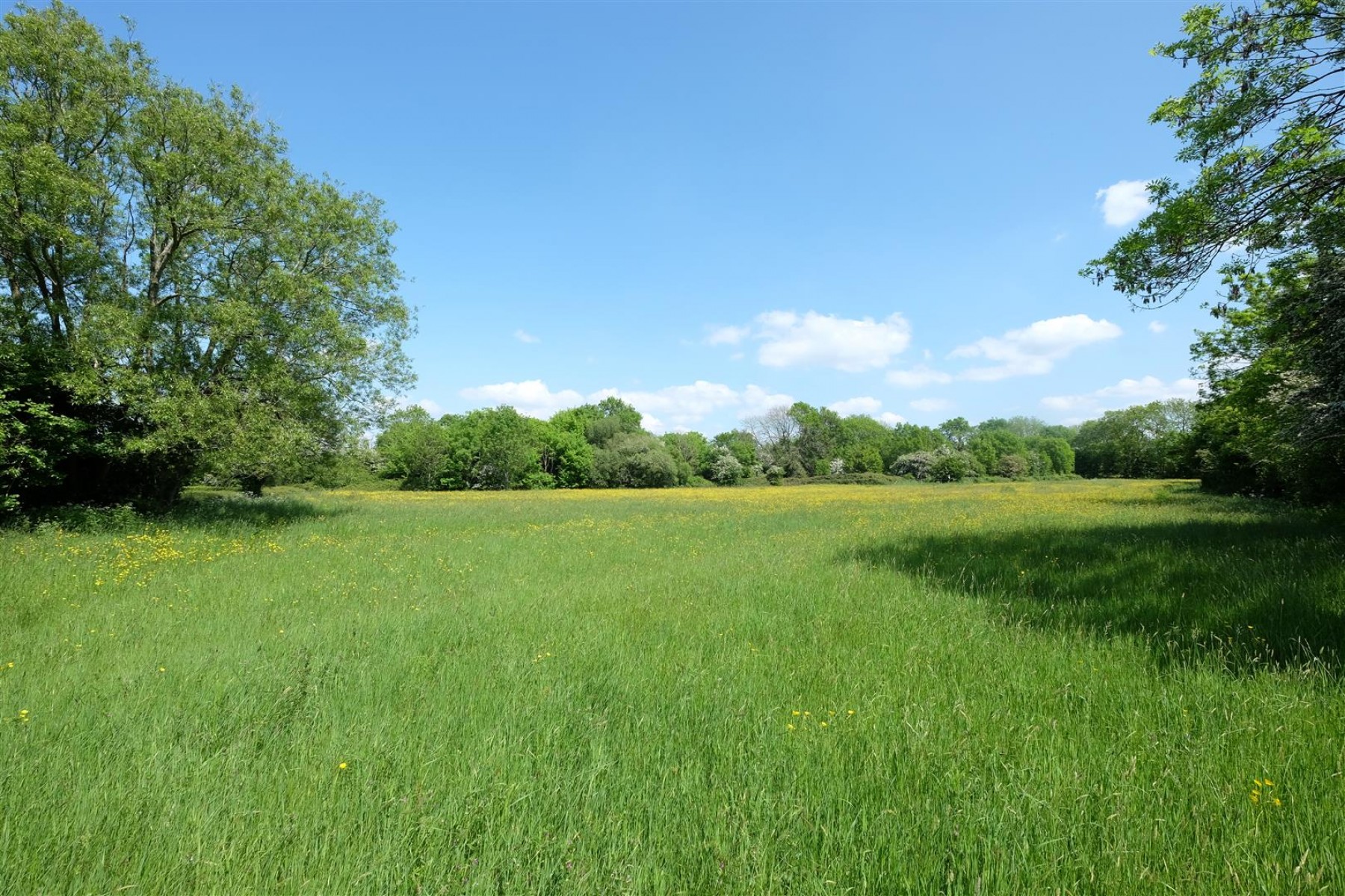 Images for 5 ACRE PADDOCK / WOODLAND - LITTLETON ON SEVERN