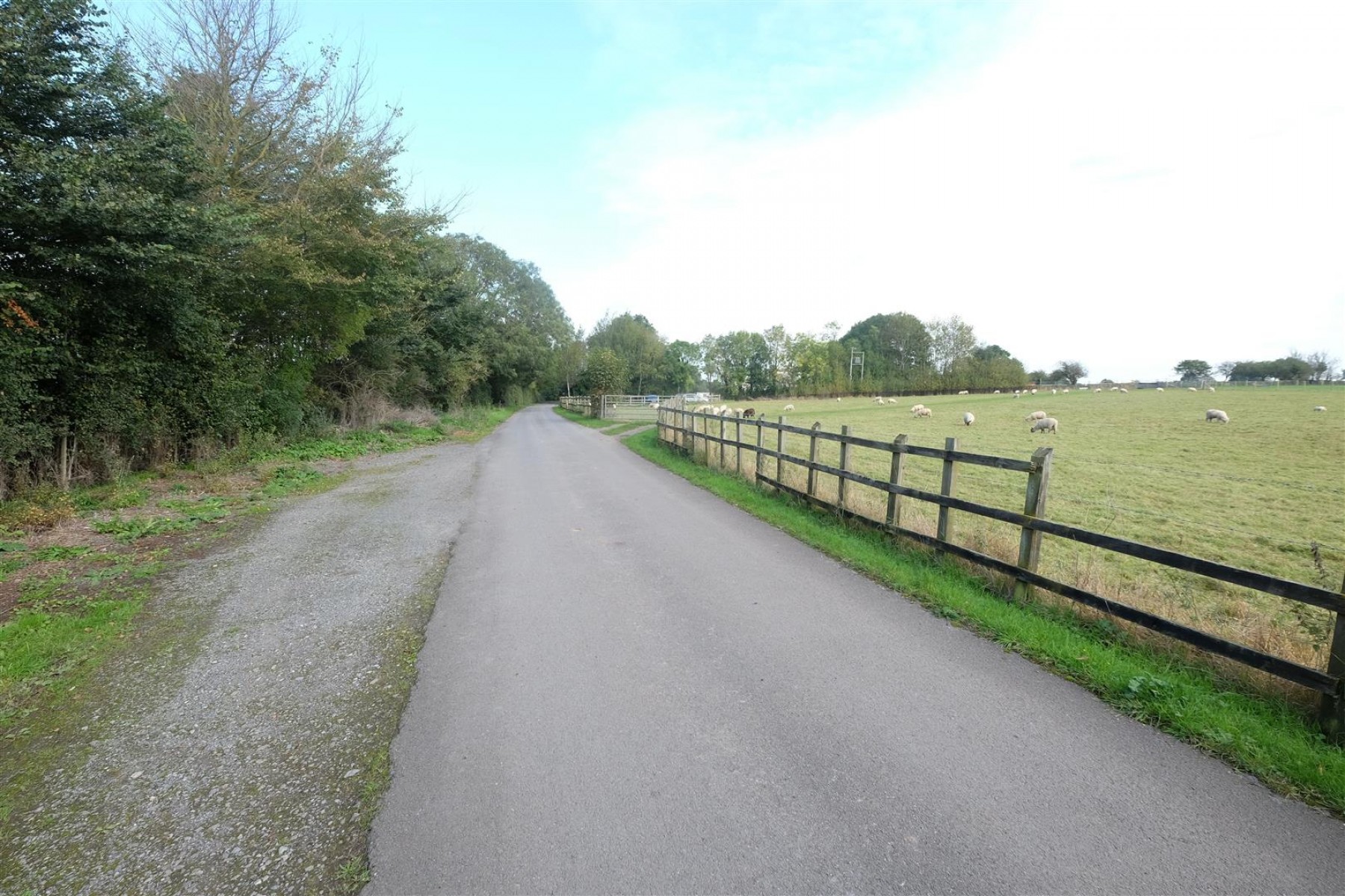 Images for 2.5 ACRES - NAILSEA