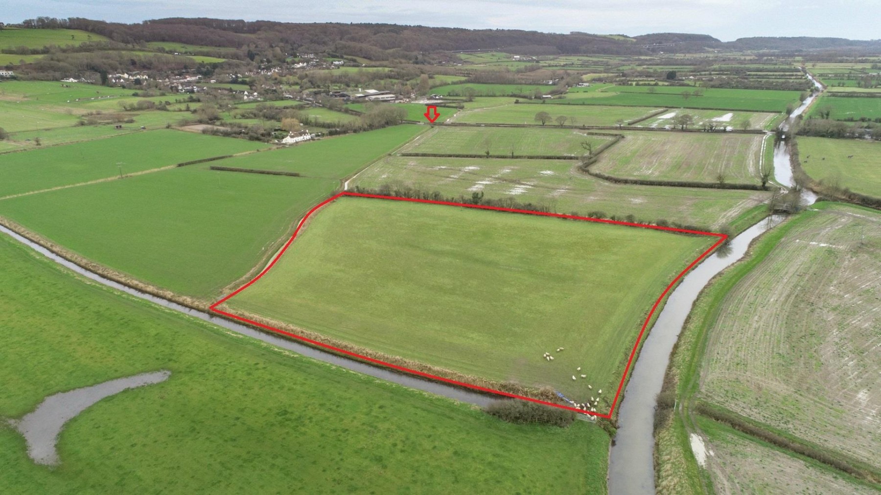 Images for 5 ACRES - CLAPTON IN GORDANO