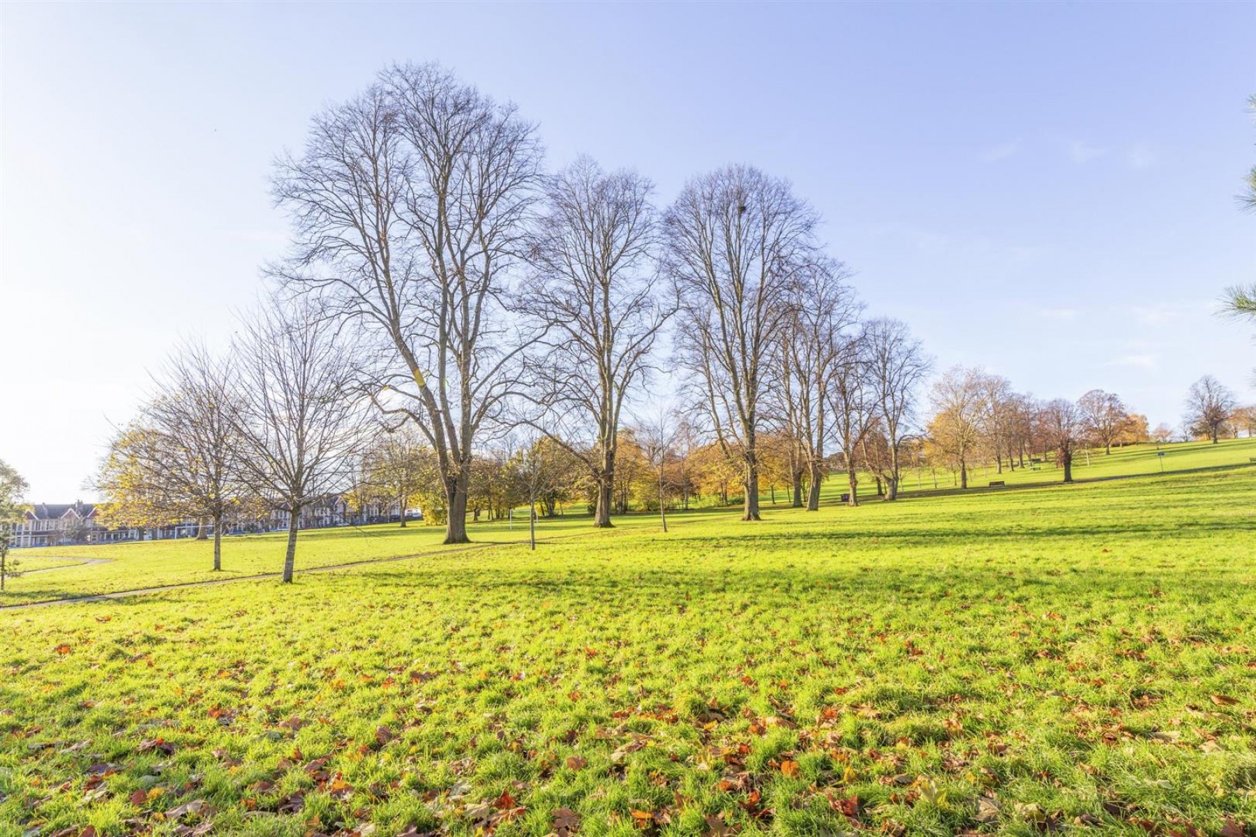 Images for Victoria Mews, Victoria Park