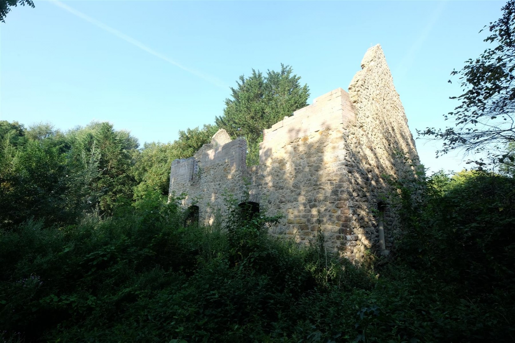 Images for DERELICT HOUSE IN 0.5 ACRES