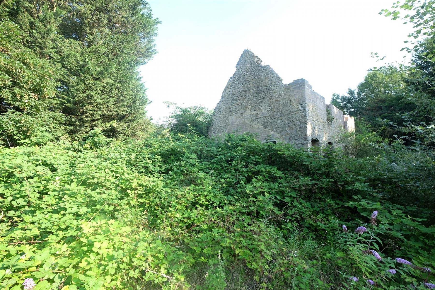 Images for DERELICT HOUSE IN 0.5 ACRES