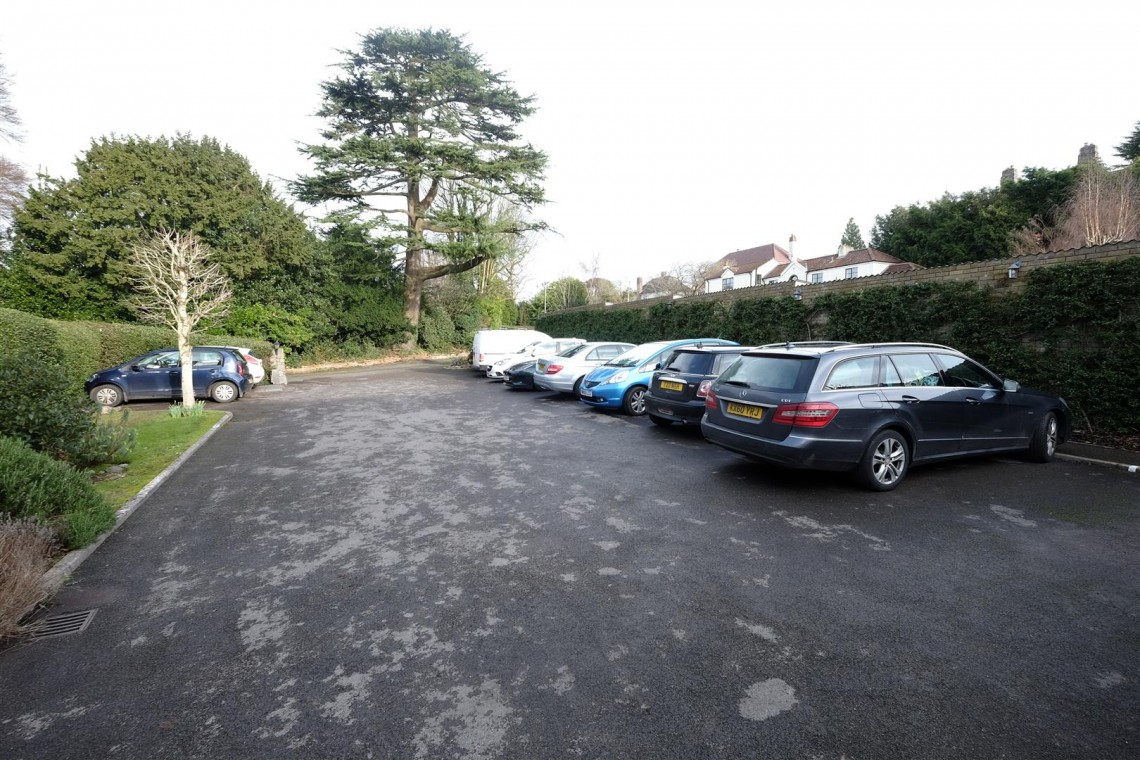 Images for REDUCED £ AUCTION - SNEYD PARK