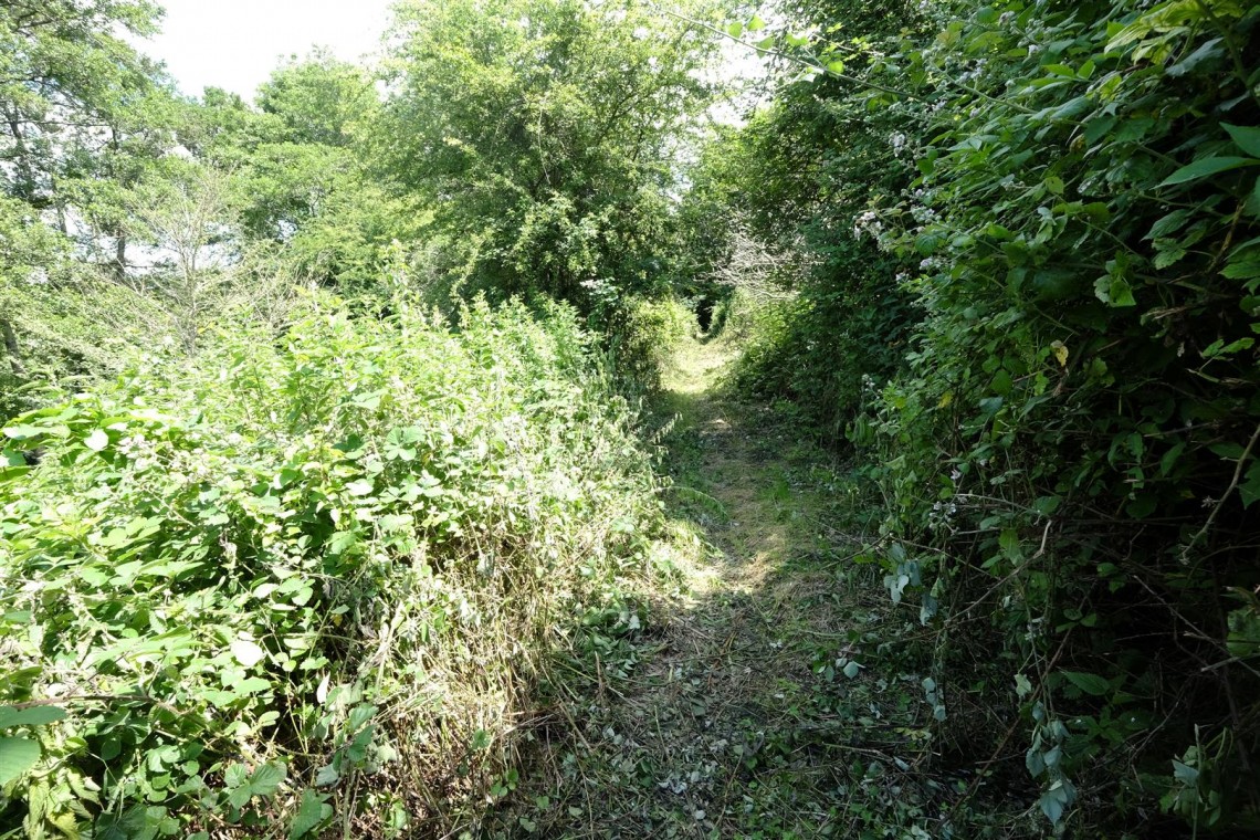 Images for BANKSIDE & FISHING RIGHTS - RIVER BYBROOK