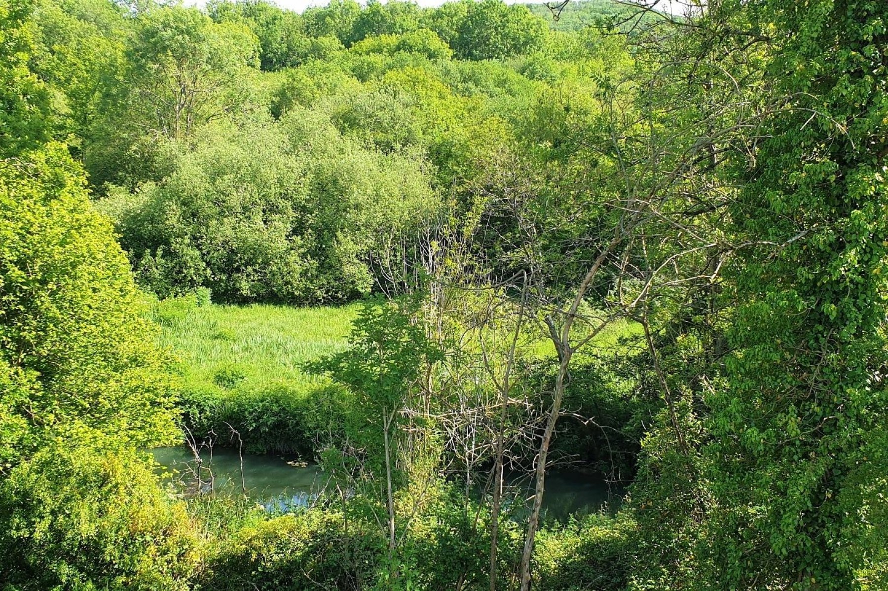 Images for BANKSIDE & FISHING RIGHTS - RIVER BYBROOK