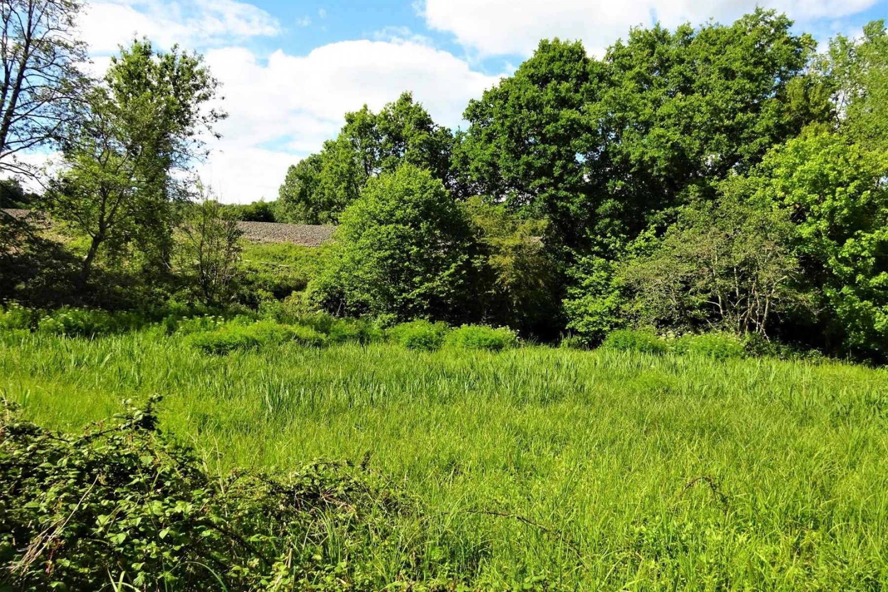 Images for BANKSIDE & FISHING RIGHTS - RIVER BYBROOK