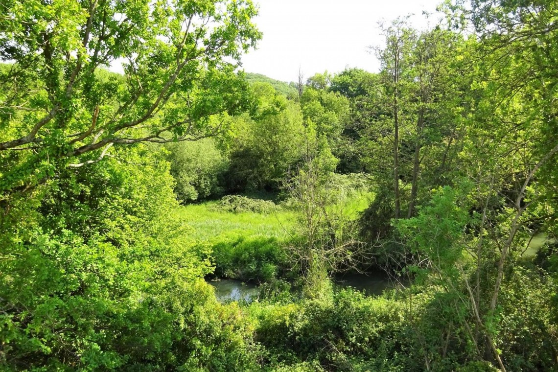 Images for BANKSIDE & FISHING RIGHTS - RIVER BYBROOK