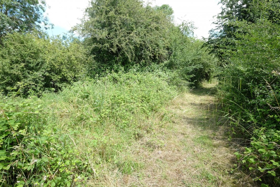 Images for BANKSIDE & FISHING RIGHTS - RIVER BYBROOK