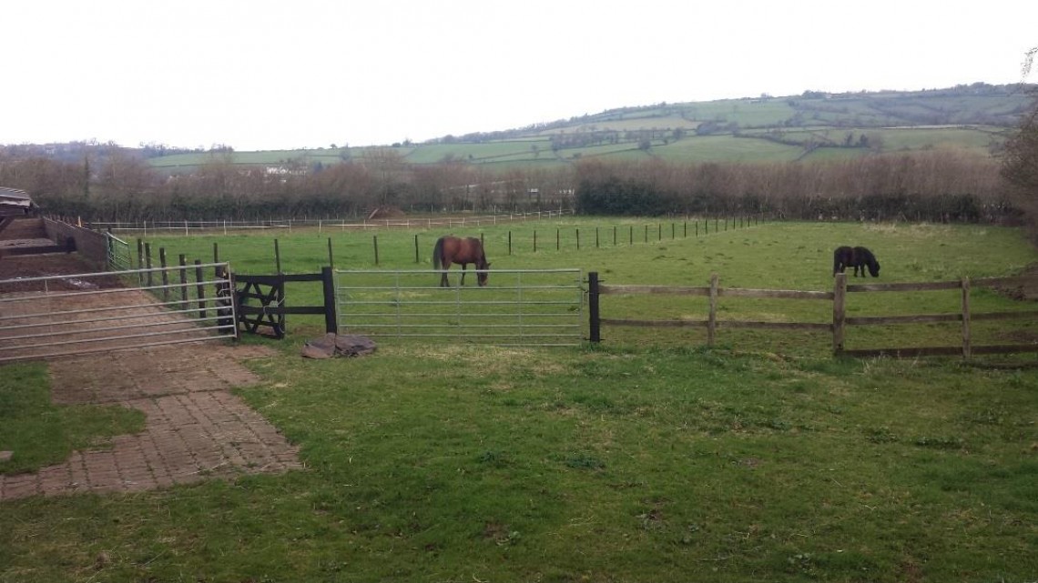 Images for 1.32 ACRE EQUESTRIAN - WINFORD