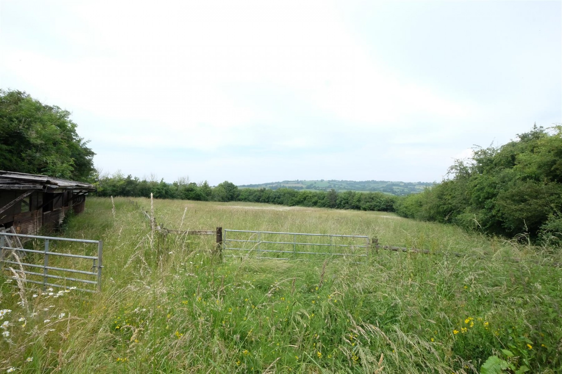 Images for 1.32 ACRE EQUESTRIAN - WINFORD
