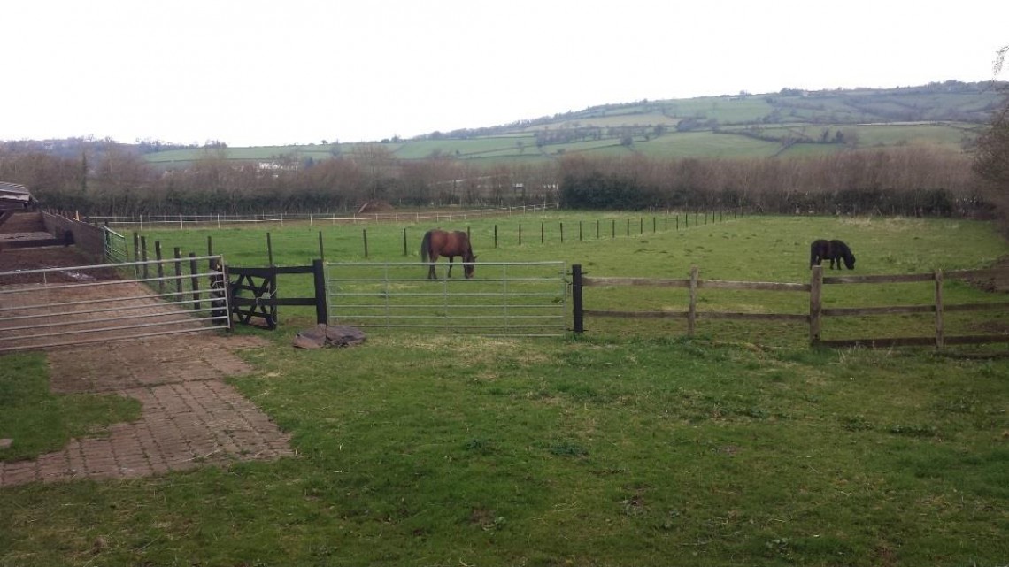 Images for 1.32 ACRE EQUESTRIAN - WINFORD