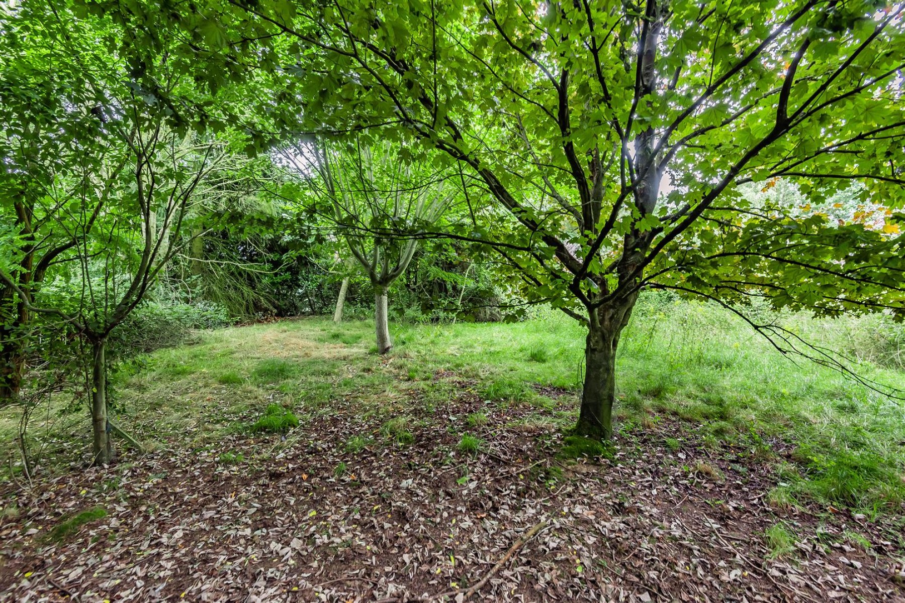 Images for WOODLAND RETREAT FOR UPDATING - BROCKWORTH