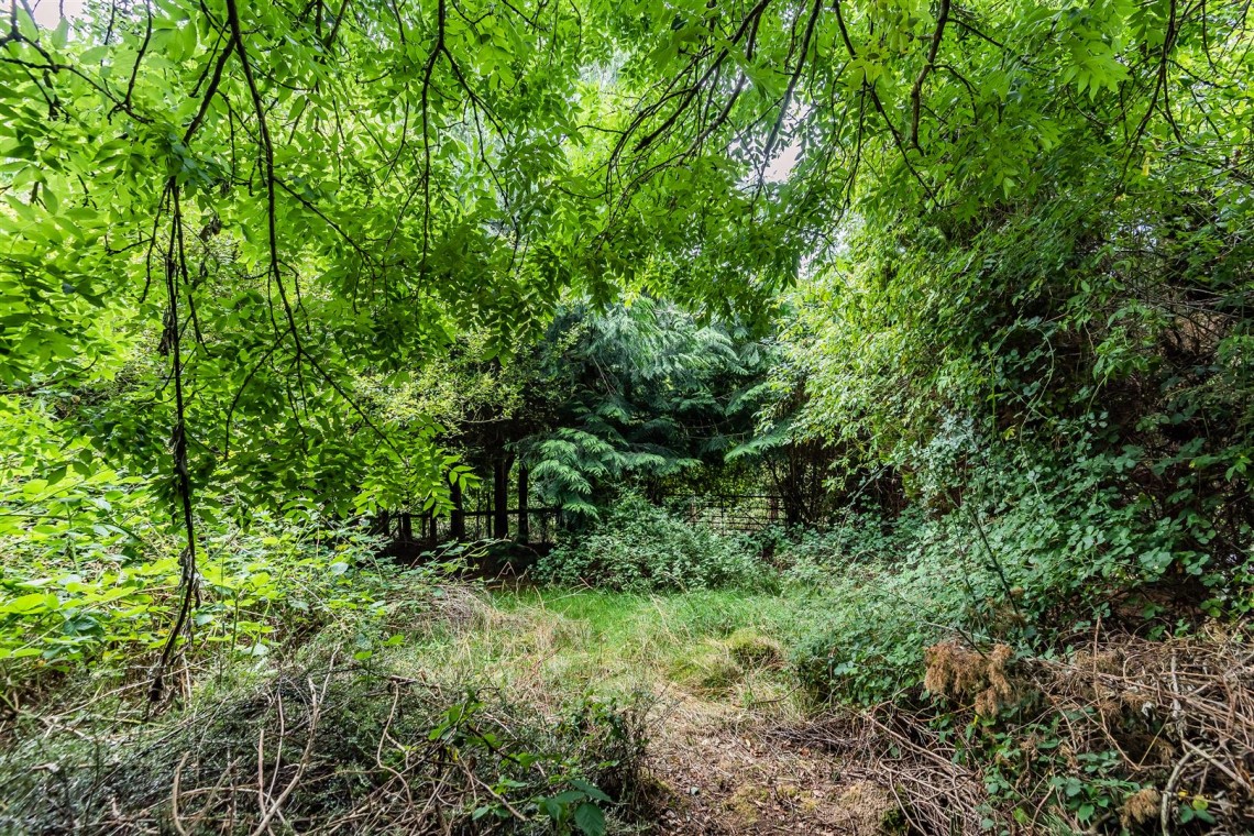 Images for WOODLAND RETREAT FOR UPDATING - BROCKWORTH