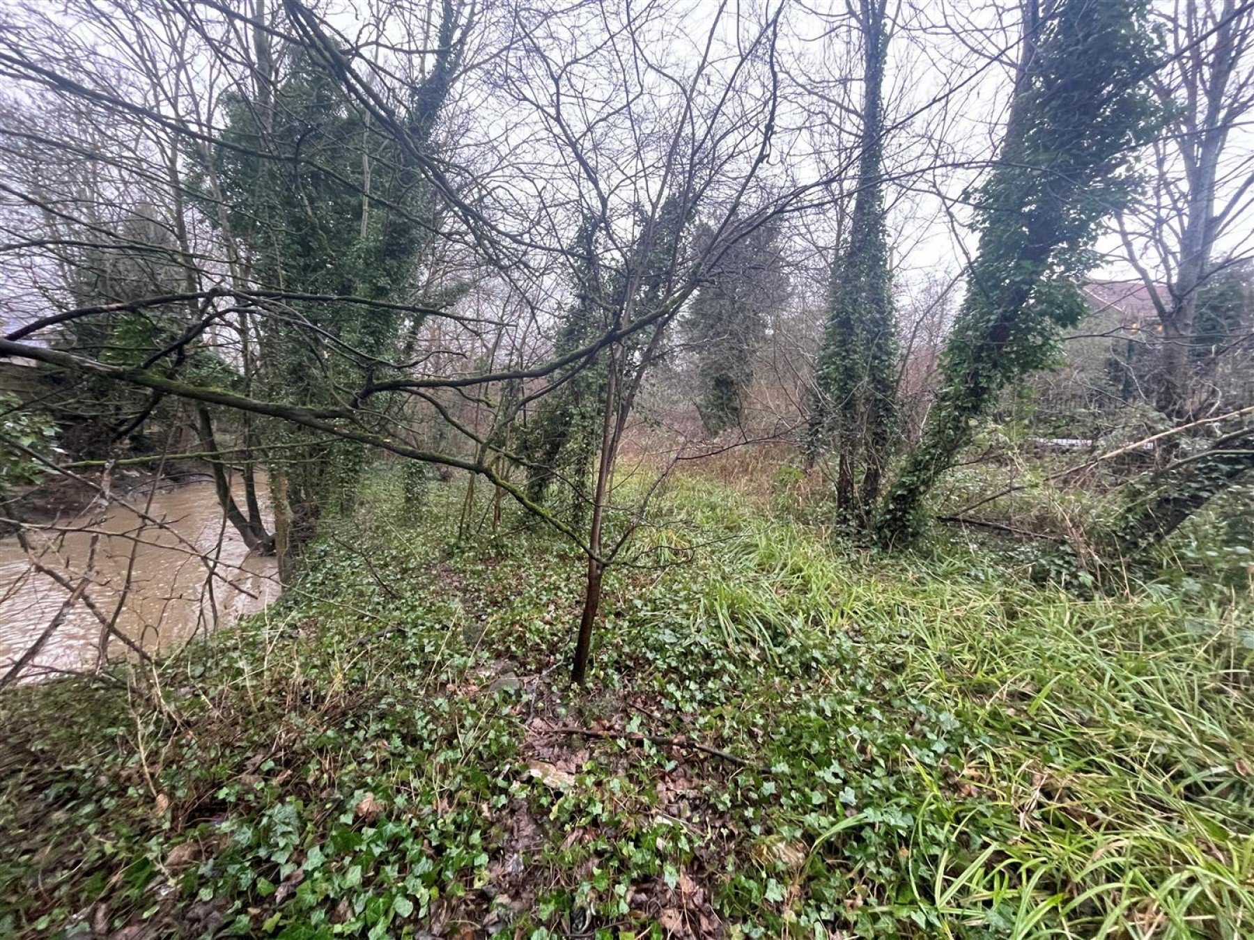 Images for 0.49 ACRE | LAND | BS5