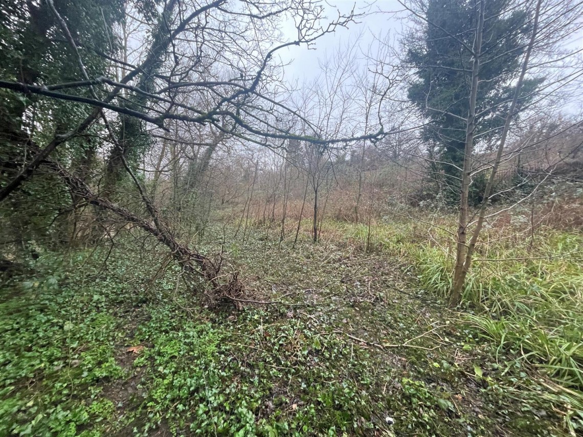 Images for 0.49 ACRE | LAND | BS5