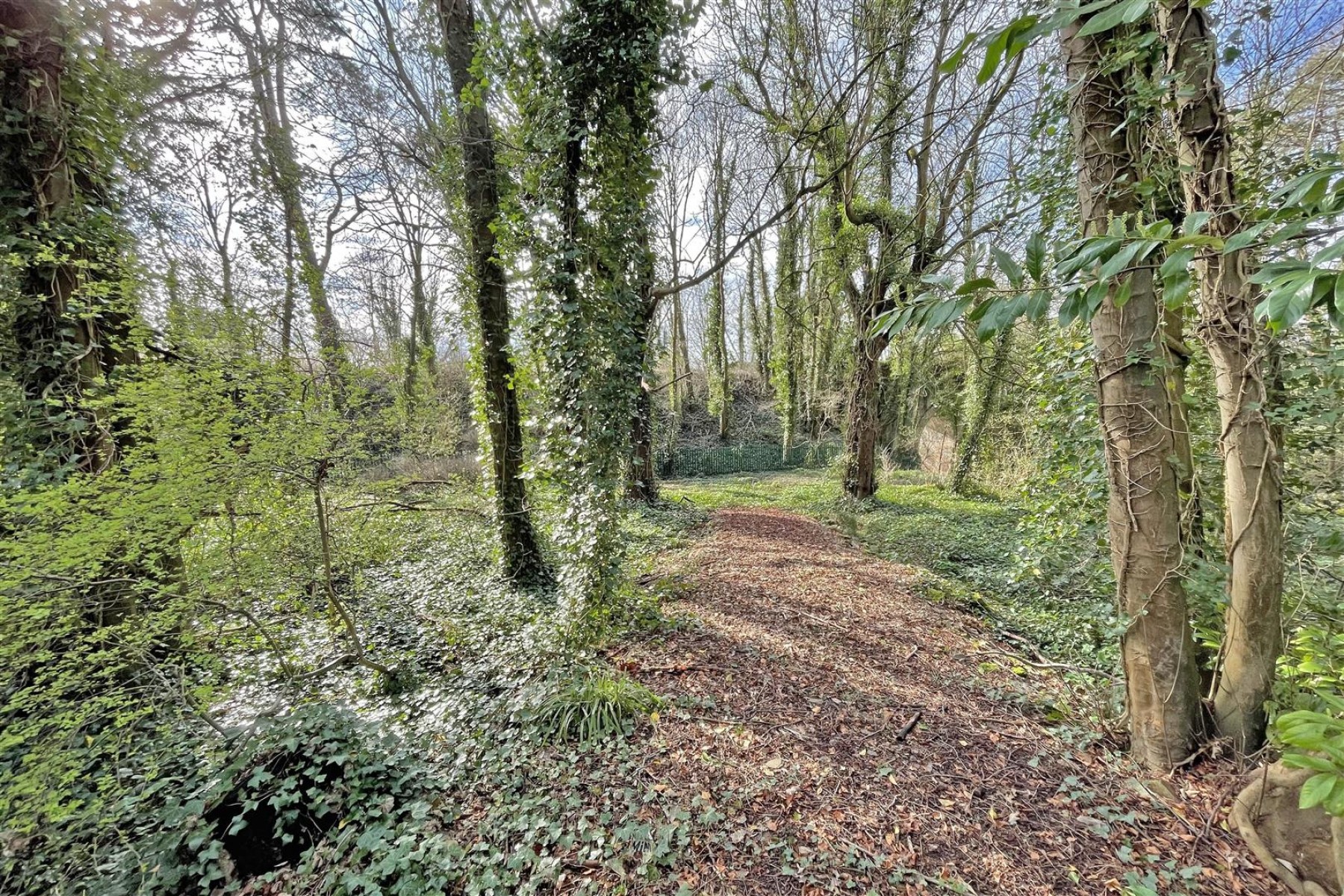 Images for 0.85 ACRE | RIVERSIDE WOODLAND | BS31