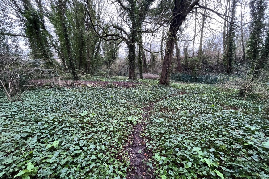 Images for 0.85 ACRE | RIVERSIDE WOODLAND | BS31