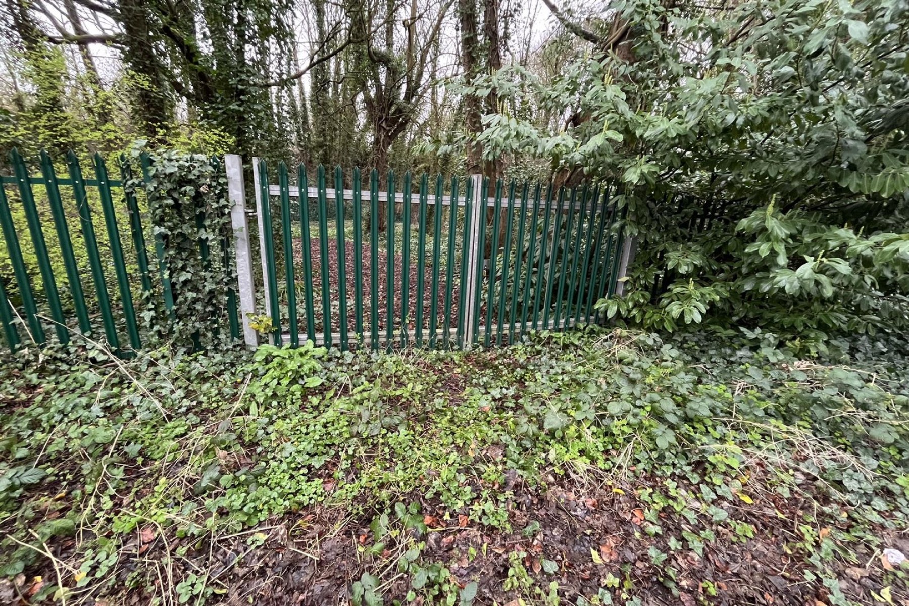 Images for 0.85 ACRE | RIVERSIDE WOODLAND | BS31