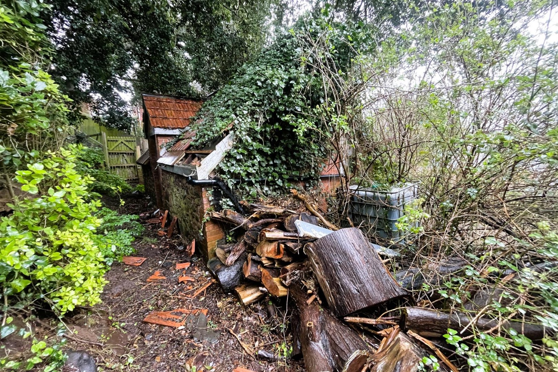 Images for 1 ACRE | DERELICT COTTAGE | MINEHEAD