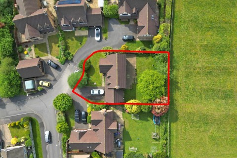 View Full Details for 
