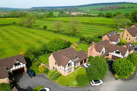 View Full Details for 