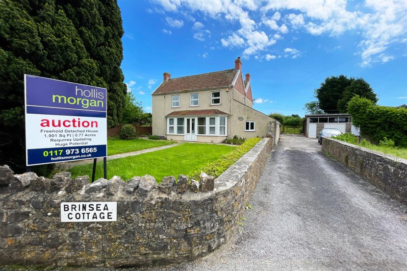 View Full Details for 