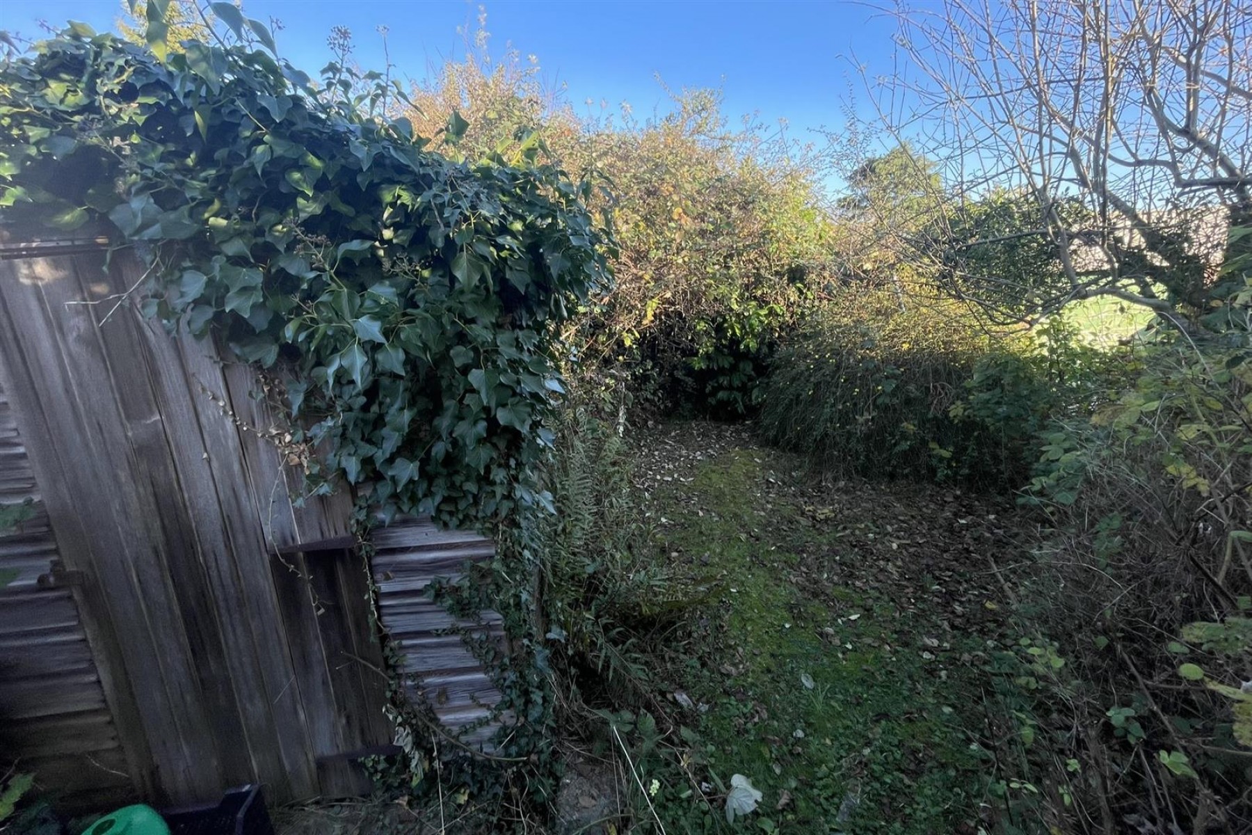 Images for DETACHED | MODERNISATION | PORTISHEAD