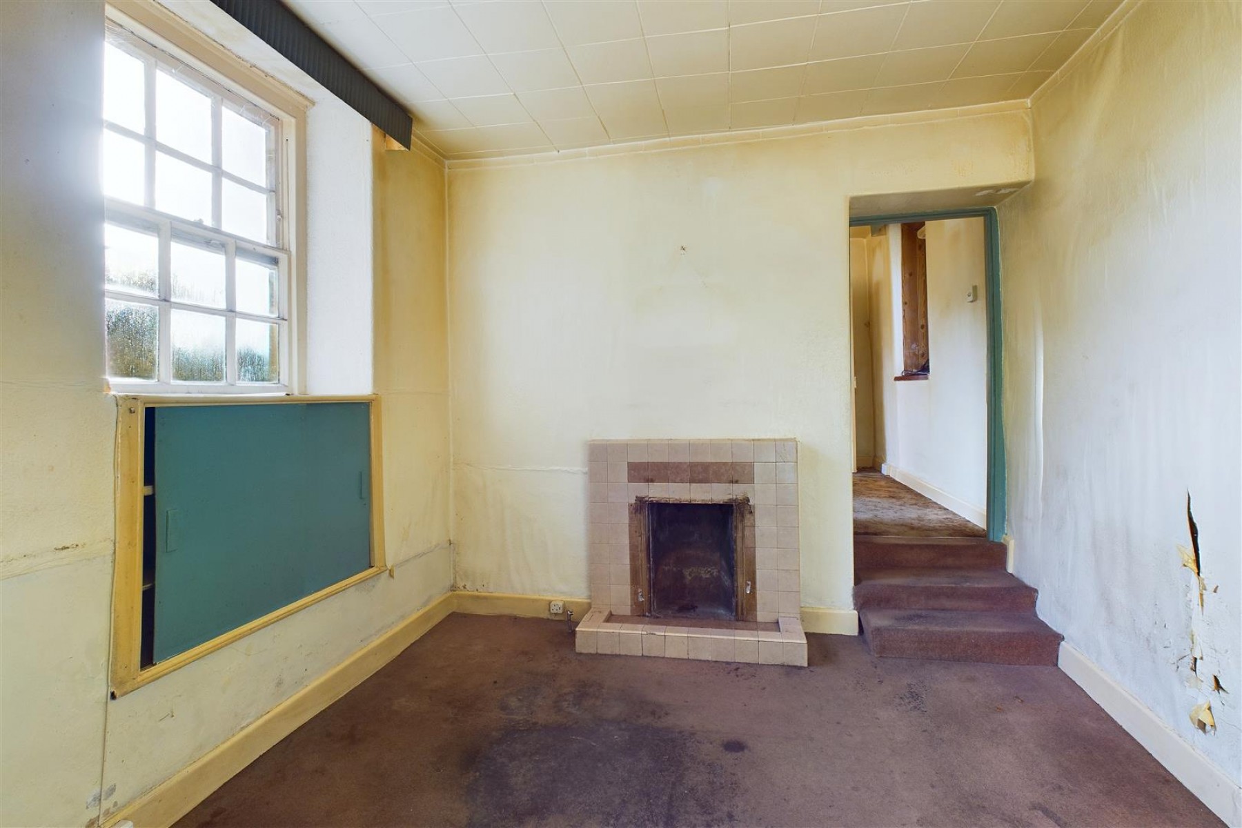 Images for MODERNISATION | LARGE GARDEN | CLEVEDON