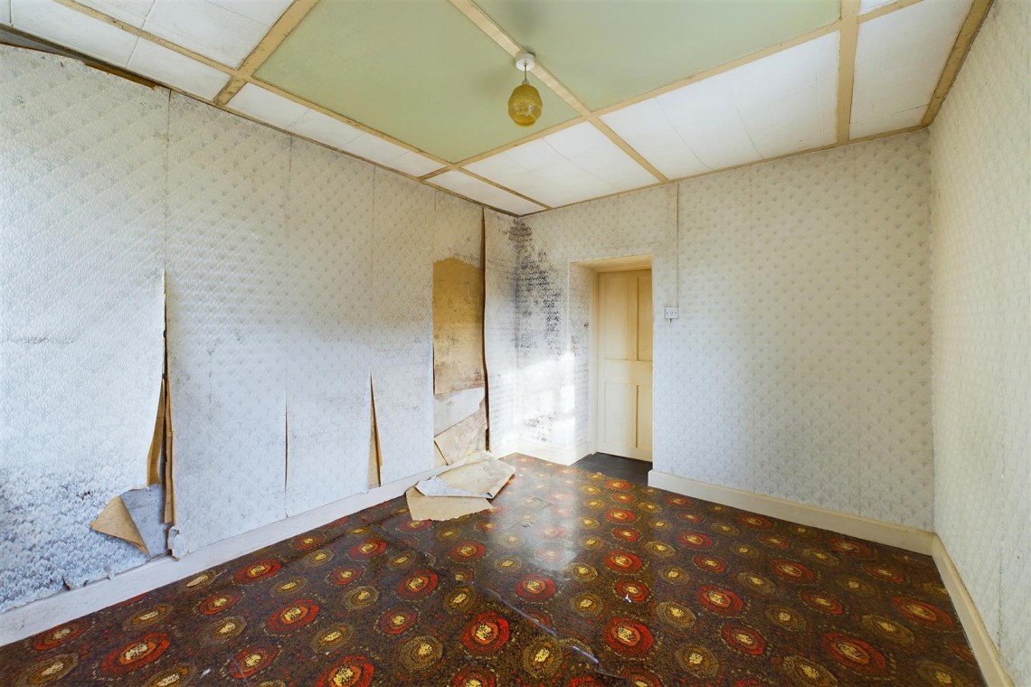 Images for MODERNISATION | LARGE GARDEN | CLEVEDON