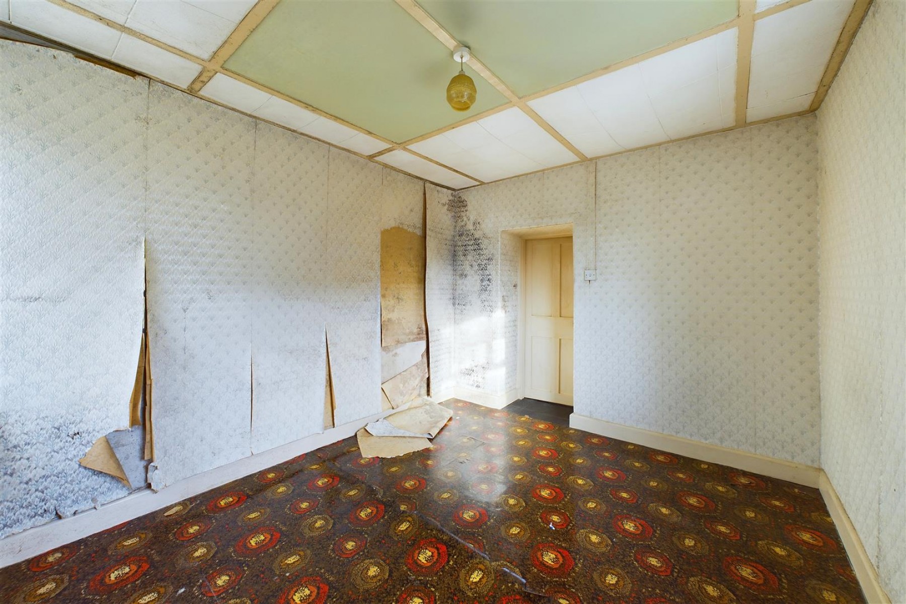 Images for MODERNISATION | LARGE GARDEN | CLEVEDON